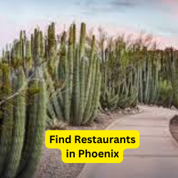 Find Restaurants in Phoenix